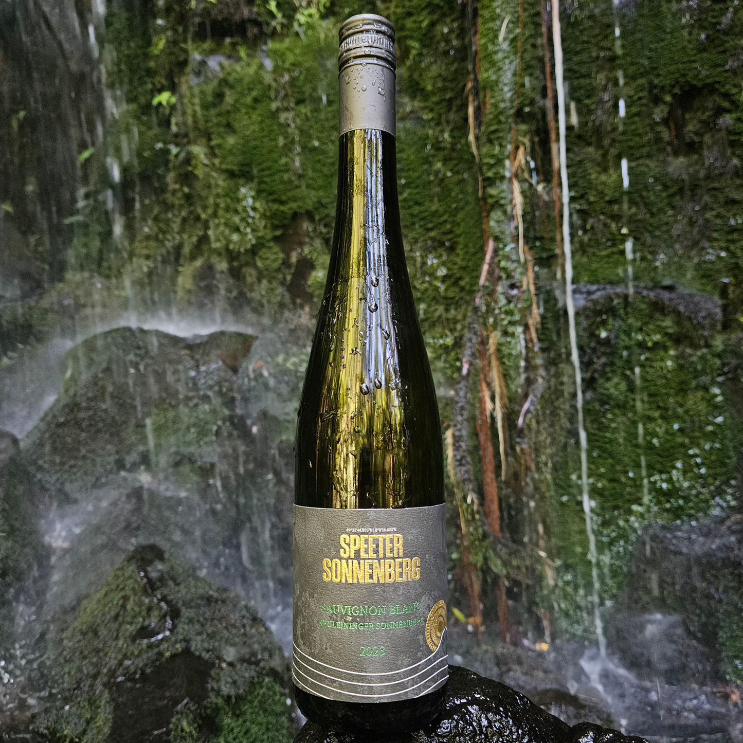 2023 Sauvignon Blanc dry